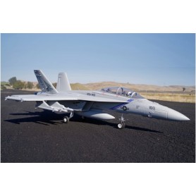 FMS / ROC F/A-18F 70mm EDF Jet